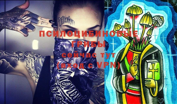 ГАЛЛЮЦИНОГЕННЫЕ ГРИБЫ Аркадак