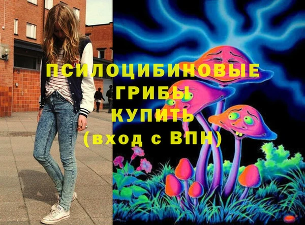 ГАЛЛЮЦИНОГЕННЫЕ ГРИБЫ Аркадак