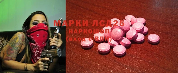 ГАЛЛЮЦИНОГЕННЫЕ ГРИБЫ Аркадак