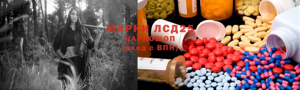 ГАЛЛЮЦИНОГЕННЫЕ ГРИБЫ Аркадак