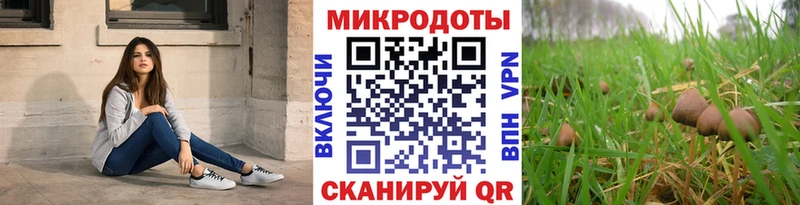 Псилоцибиновые грибы Cubensis  Инза 